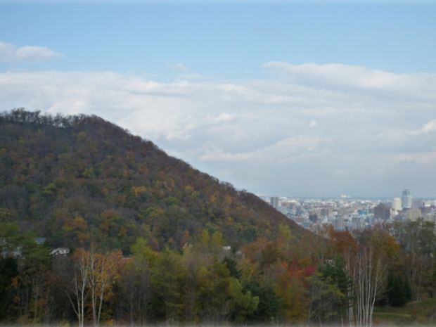 円山を望む風景
